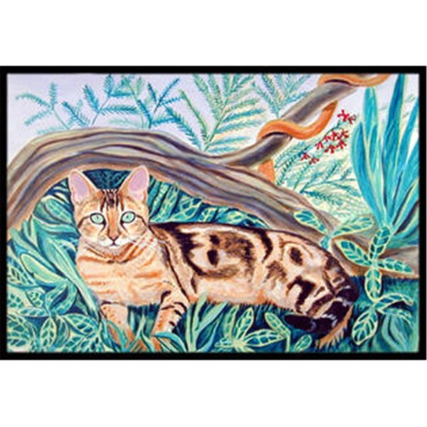 Beyondbasketball Cat - Maine Coon Indoor Or Outdoor Mat - 18 x 27 in. BE1532094 - main